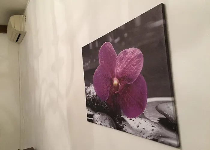 Casa vacanze Smart House - Ammiragli Roma